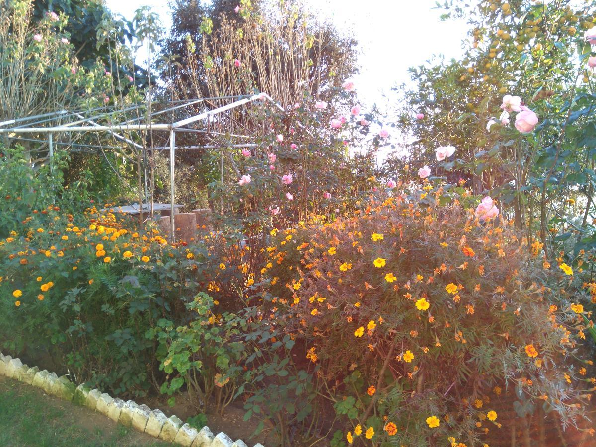 Maa Ananda Mayee Guest House Binsar Εξωτερικό φωτογραφία
