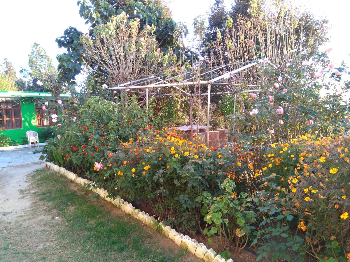 Maa Ananda Mayee Guest House Binsar Εξωτερικό φωτογραφία